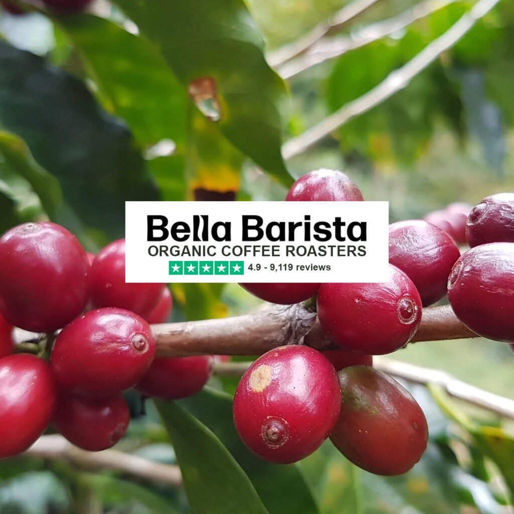 Bella Barista - Organic Coffee Roasters and Coffee Equipment Retailers to the home.